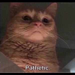 Meet your Posher, Connor